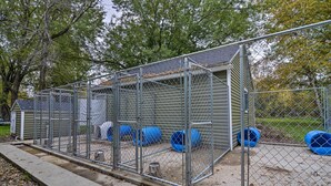 Une zone délimitée par une clôture et dotée d’une structure métallique, qui pourrait servir d’espace de stockage ou d’abri technique, ainsi que plusieurs barils bleus.