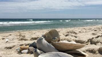 Cottage (2 Bedrooms) | Interior