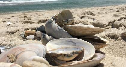 Beachy Lavallette Cottage w/ Outdoor Shower, Patio