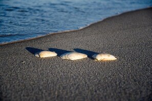 Cottage (2 Bedrooms) | Interior