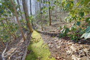 Interior - 'the Red Loft' Candler Cottage Near Hiking Trails! (Candler)