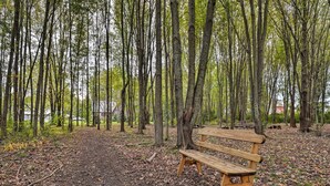 A wooden bench in a forested area with trees and a dirt path. - Unique Ovid Apt w/ Grill on Cayuga Wine Trail! (Ovid)