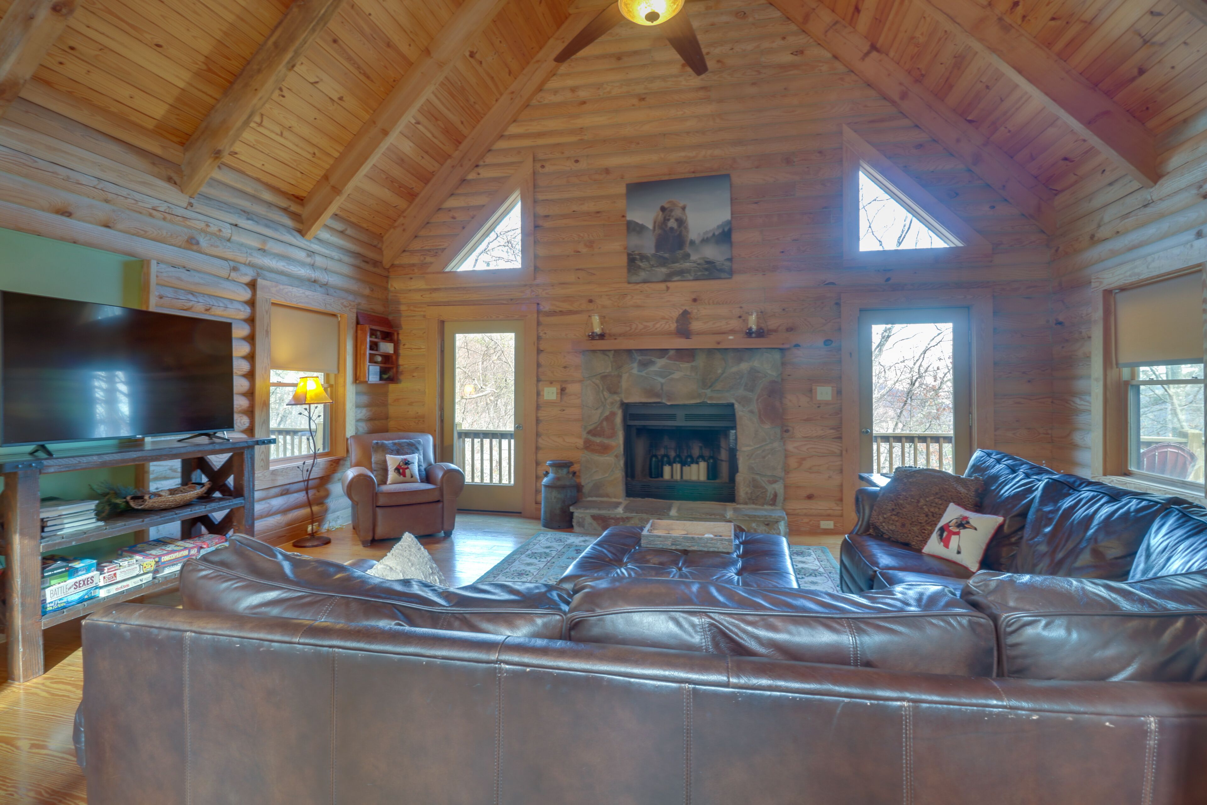 TV, fireplace