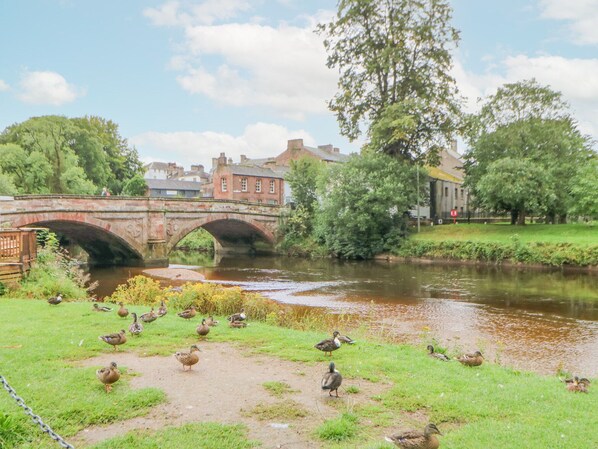 A river with ducks, a bridge, and buildings in the background.