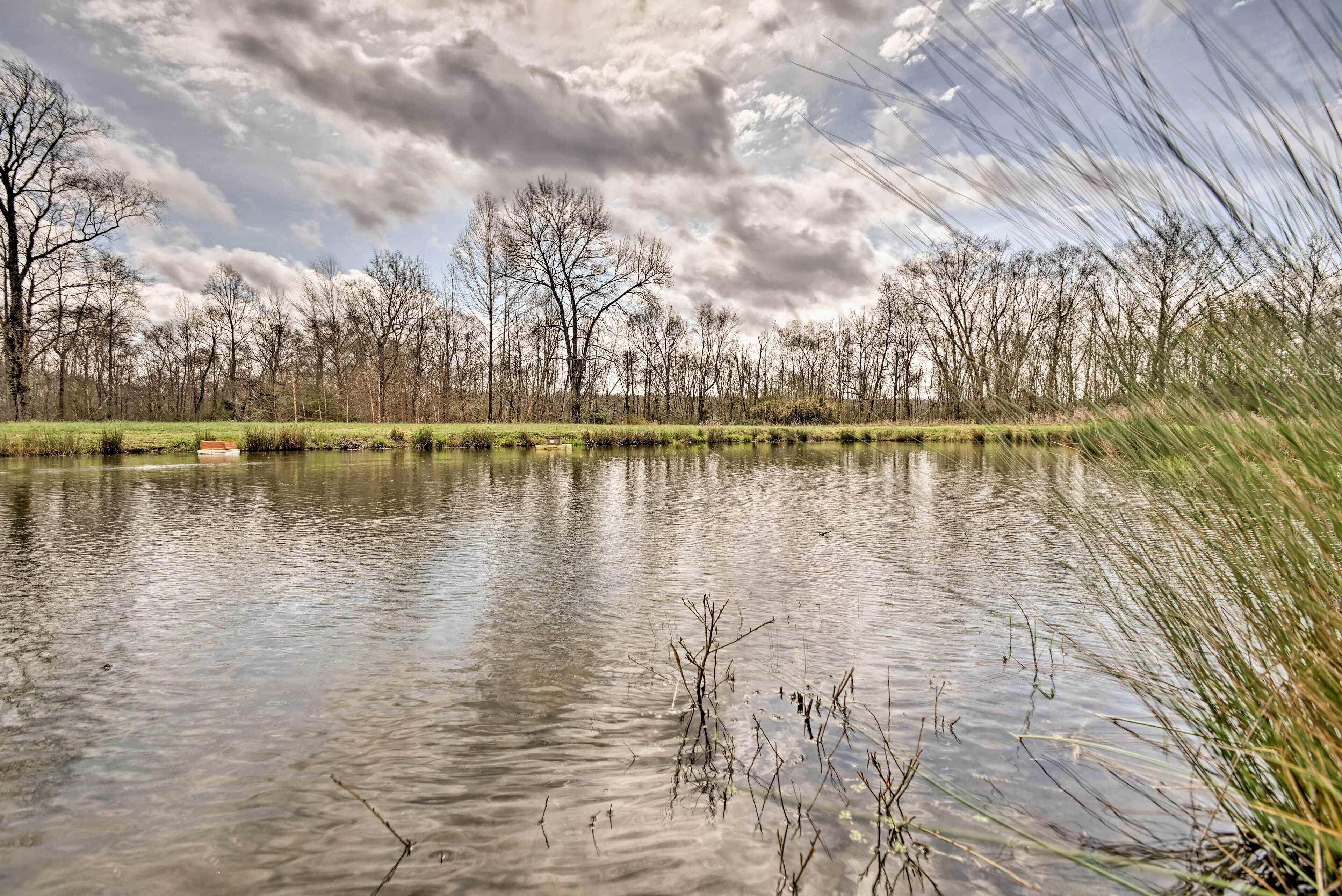 A calm lake with trees in the background and a clear sky.