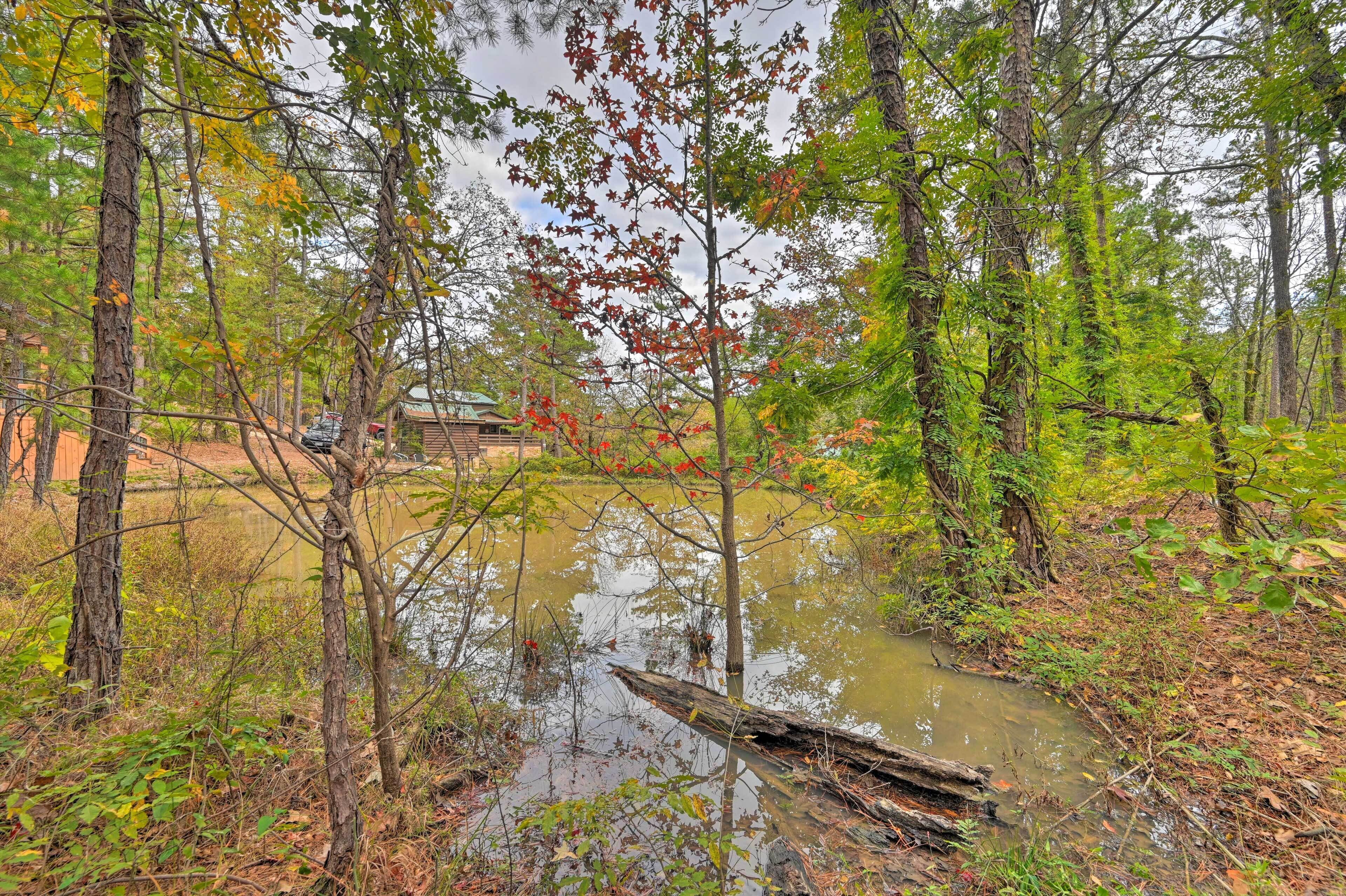 Une zone boisée avec un petit ruisseau et une structure en bois en arrière-plan.