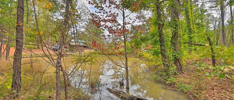 Une zone boisée avec un petit ruisseau et une structure en bois en arrière-plan.