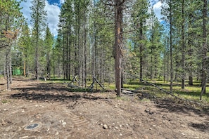 Metsäinen alue, jossa on maaperä, puita ja maahan kaatunut puu.