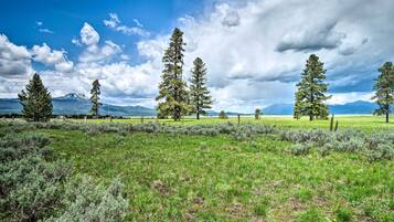 Casa (0 Bedroom) | Interni