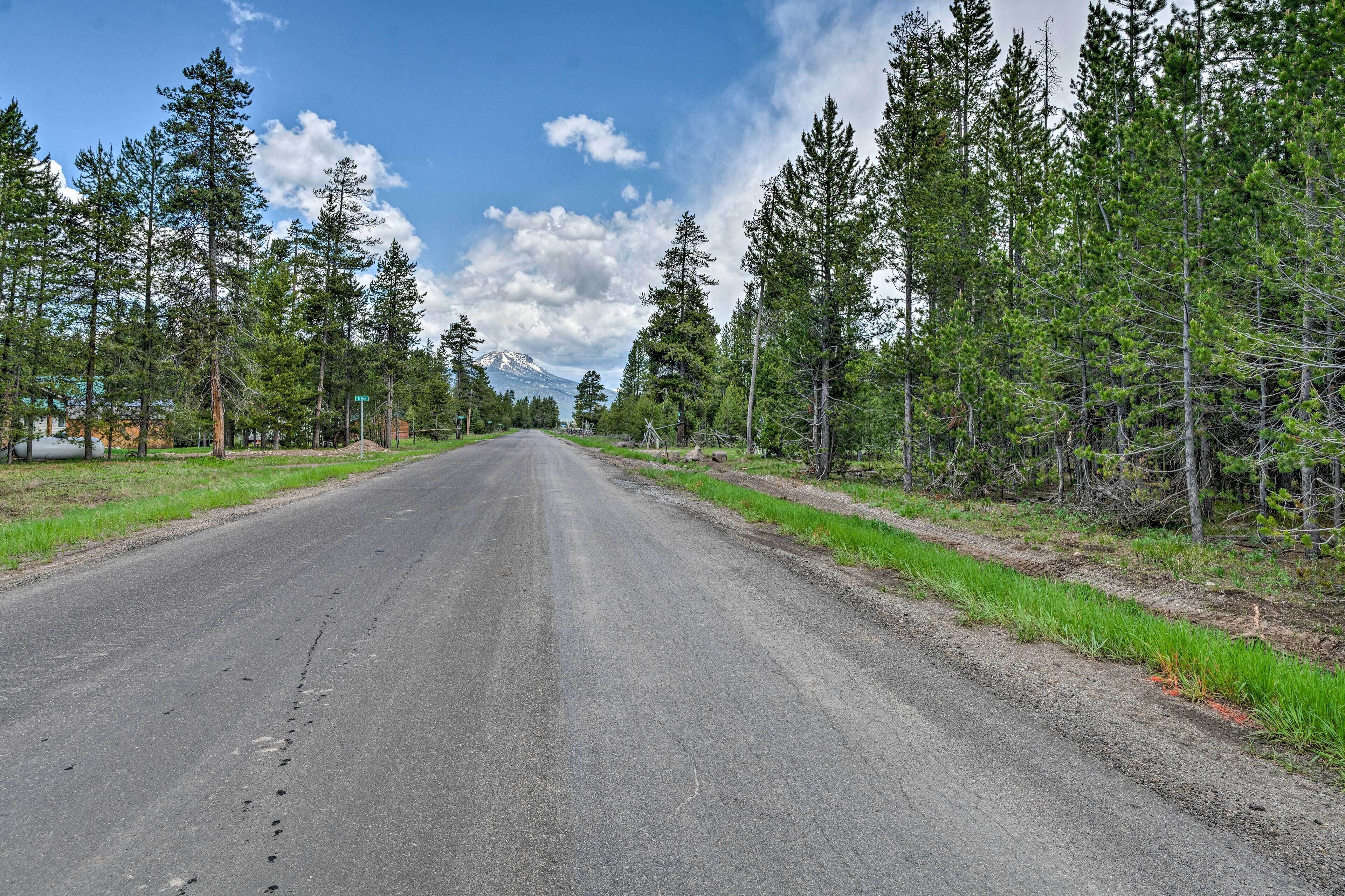 A road flanked by dense forests and a mountain in the distance.