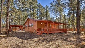 Une cabane dotée d’une véranda, entourée de grands pins.