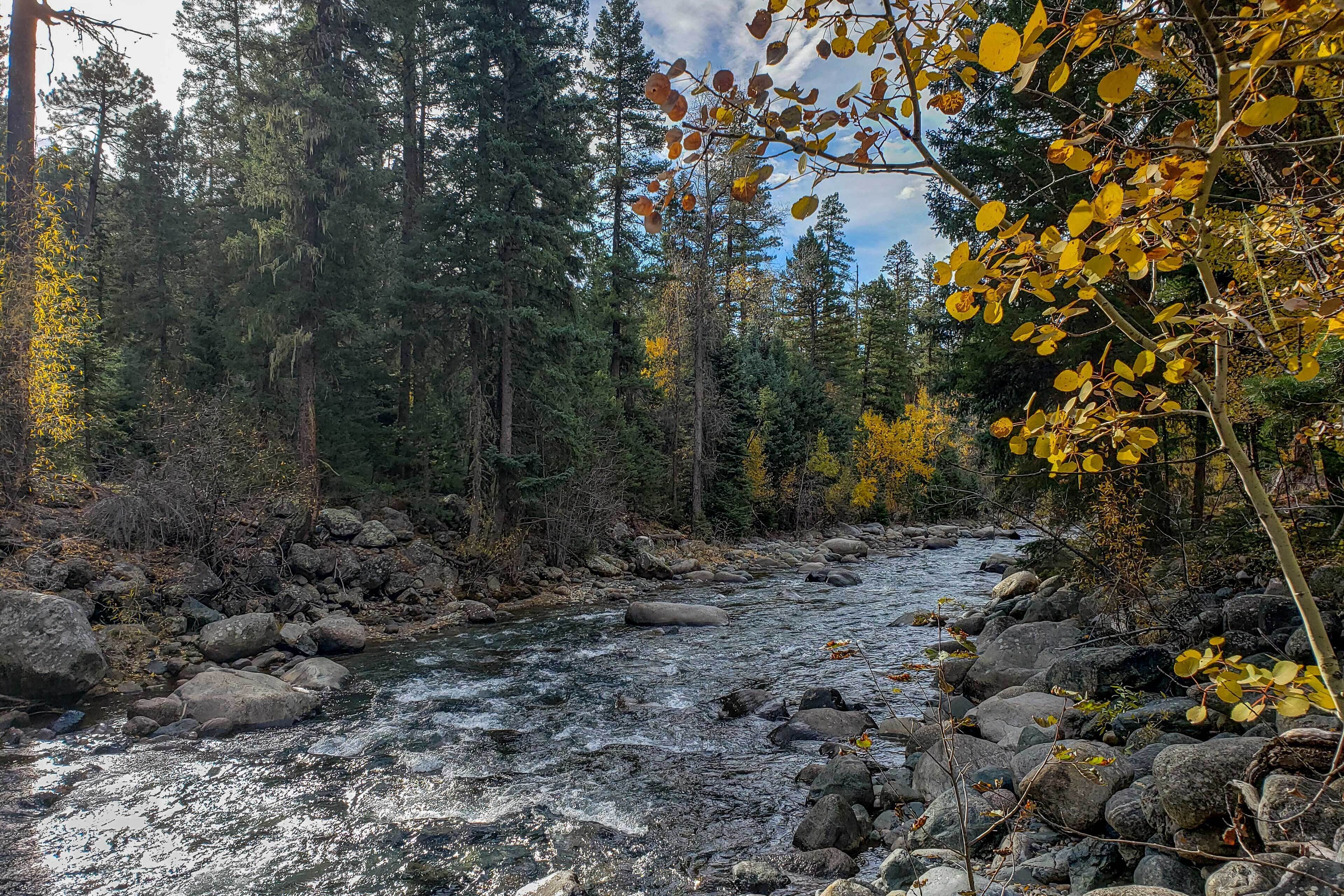 Une rivière qui traverse une forêt, avec des rochers et des arbres.