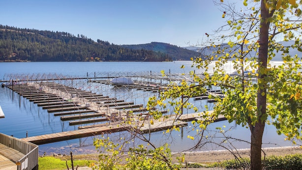 A dock extending into a calm lake with a forested hillside in the background. - 'the Innlet' - Comfy Cabin By Conkling Marina (Worley)