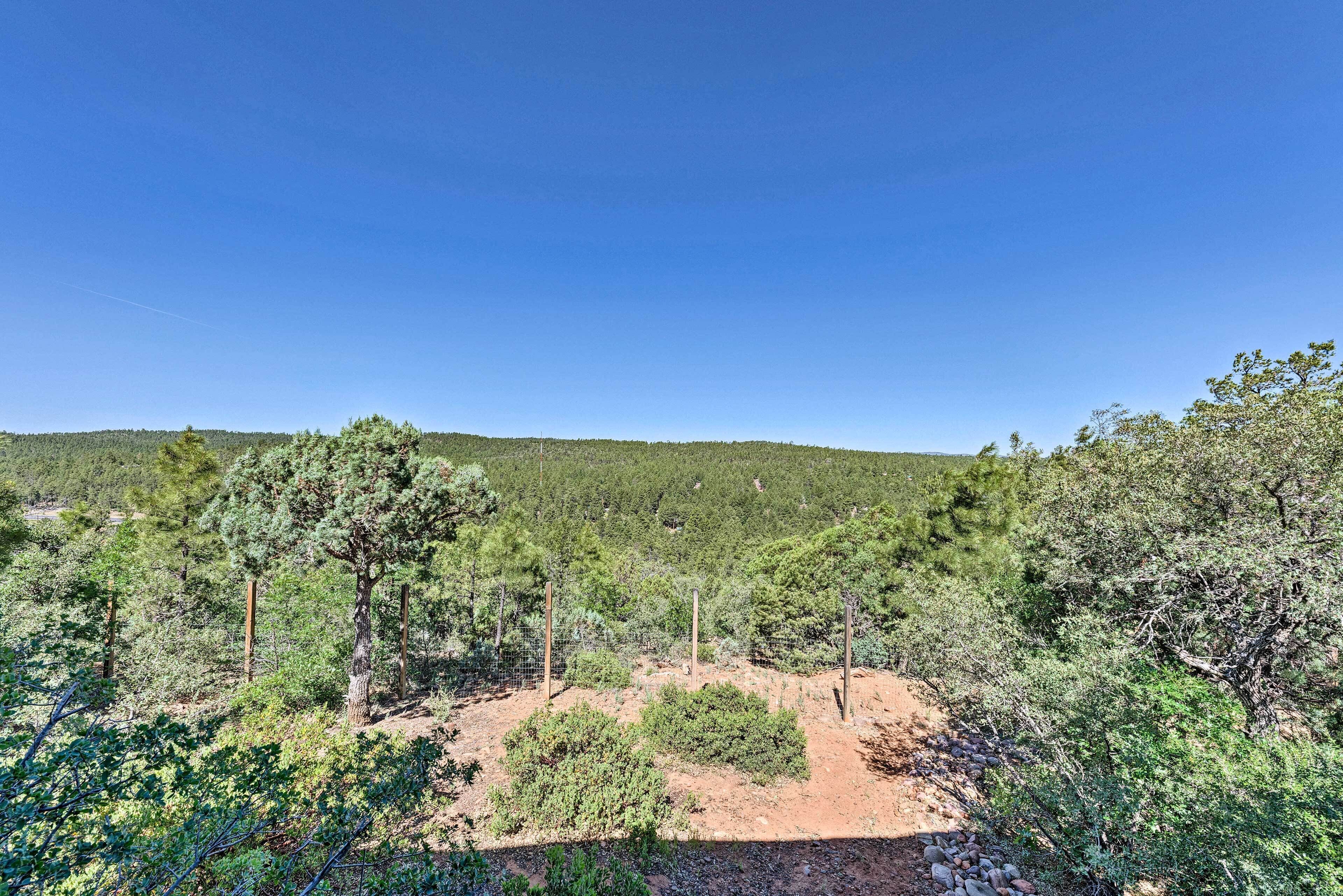 Eine natürliche Landschaft mit einem Feldweg, Bäumen und blauem Himmel.