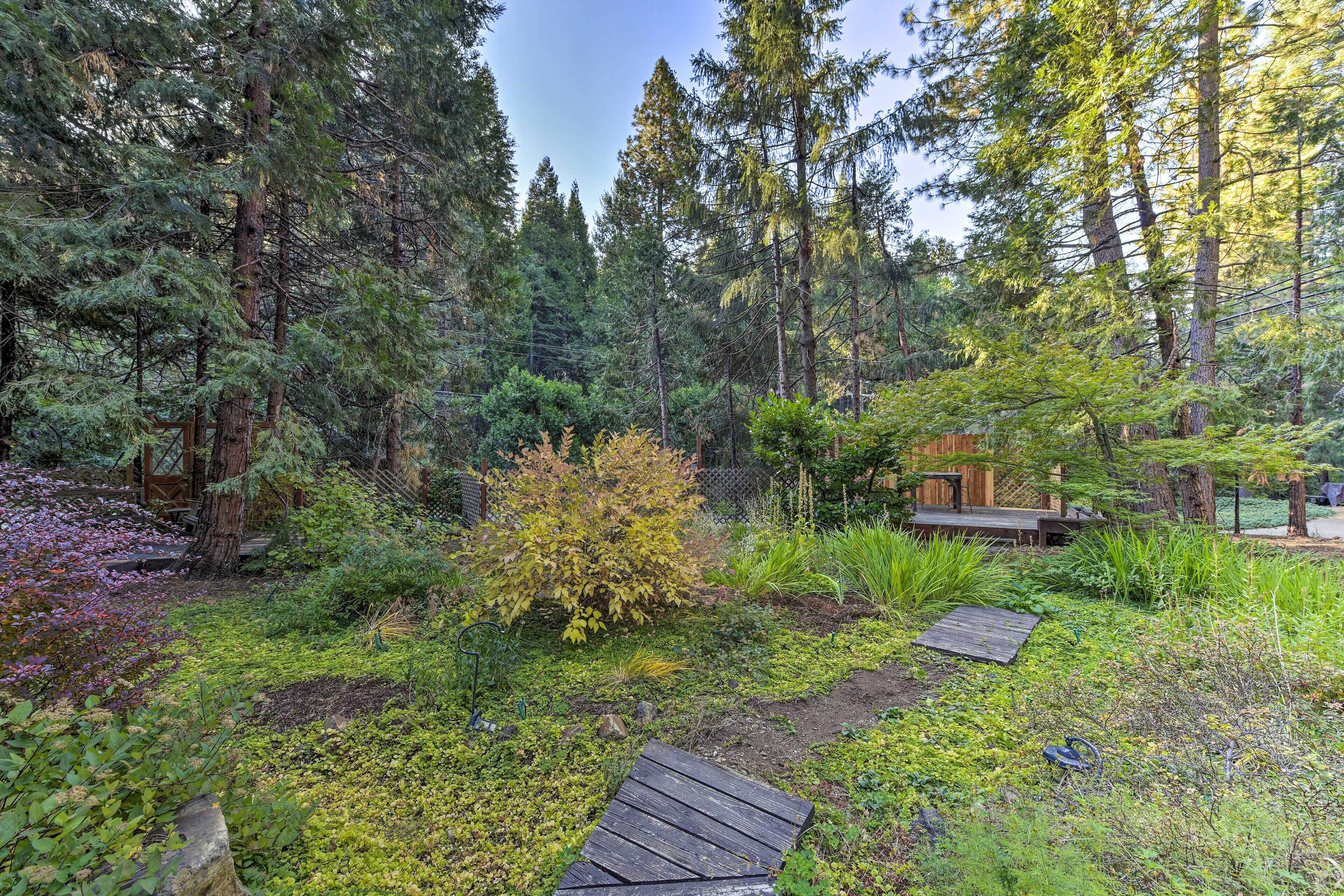 A forested garden with a wooden deck and a small wooden structure.