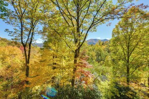 House (2 Bedrooms) | Interior - 8 Mi to Skiing: Porch w/ Fireplace + Mtn Views! (Maggie Valley)