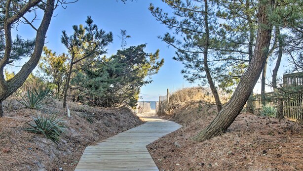 A wooden boardwalk leading through a natural area with pine trees and dry grass. - Bay-view Retreat w/ 5 Balconies in Bethany Beach! (Bethany Beach)