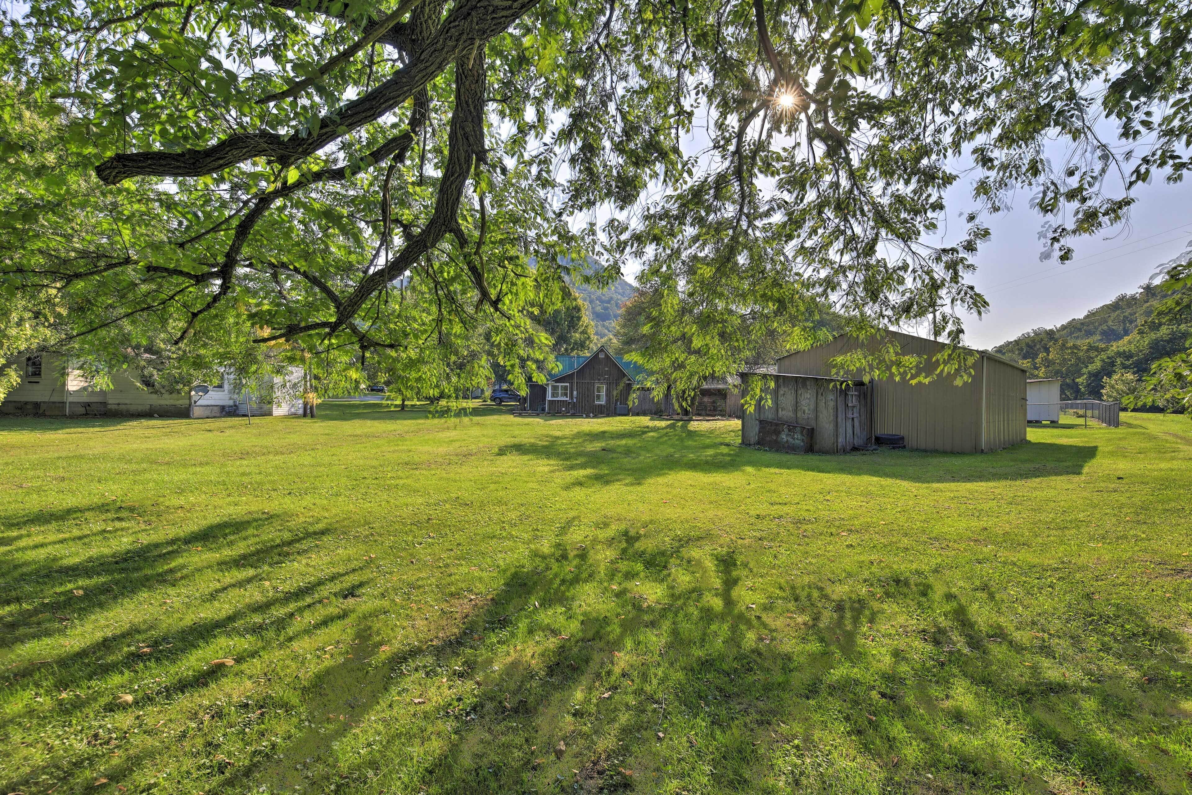 A grassy field with a large tree casting shadows, a small building, and a house in the background.