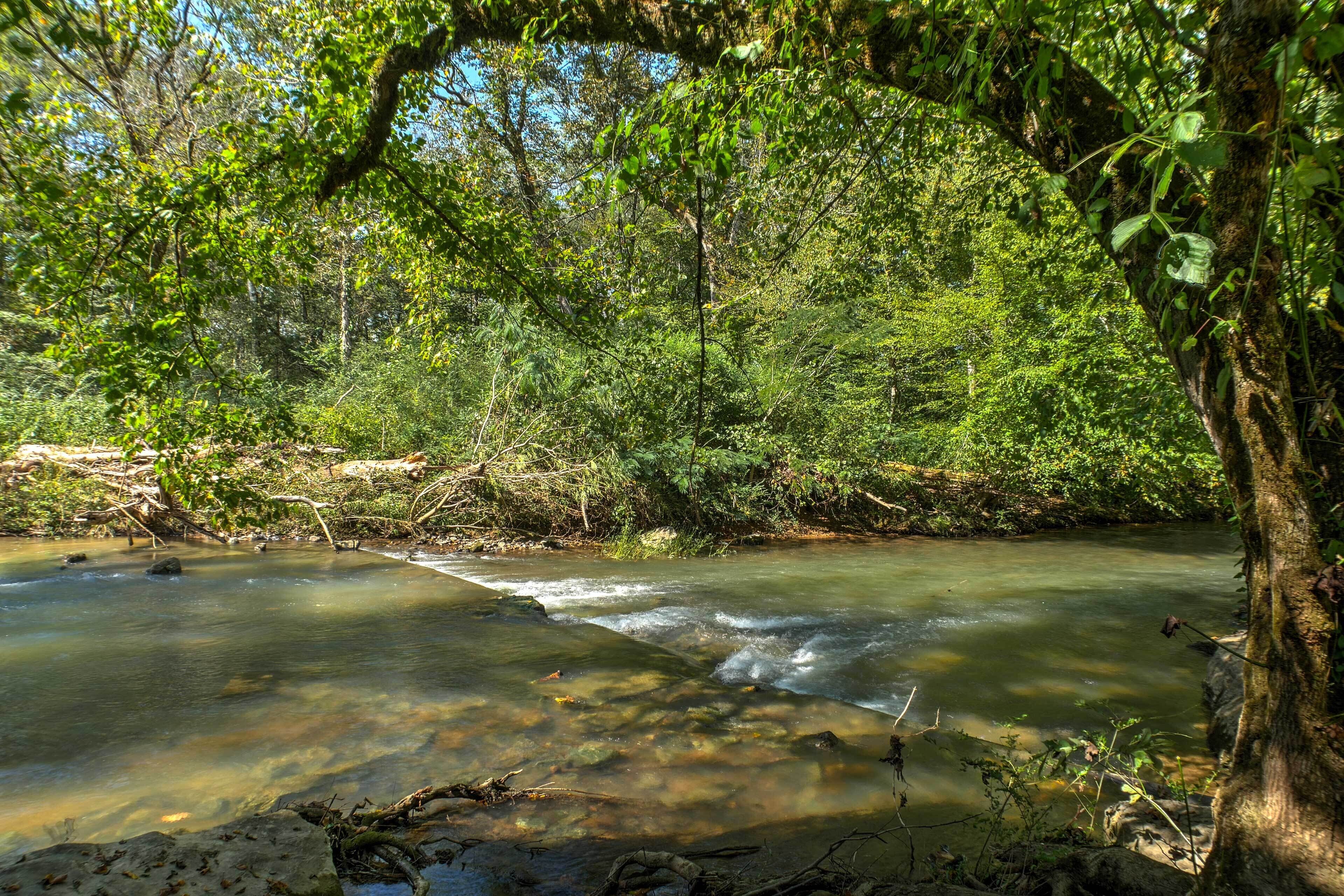 A natural river scene with clear water, surrounded by dense greenery and trees.
