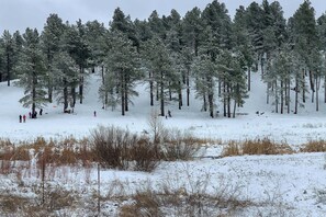 하우스 (3 Bedrooms) | 내부