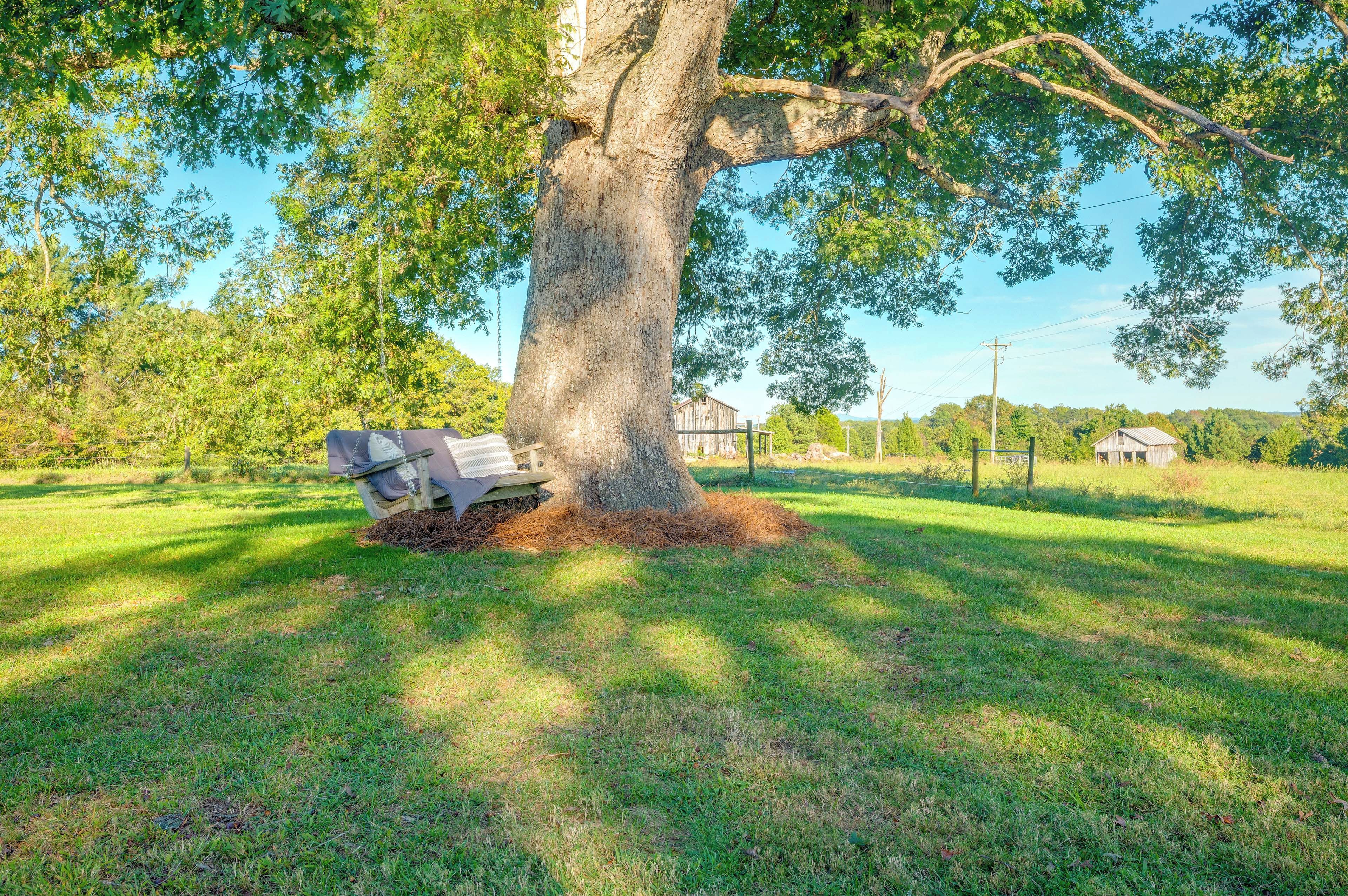 A large tree with a bench under it in a grassy field.