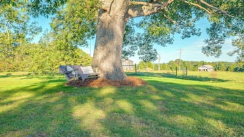 A large tree with a bench under it in a grassy field.