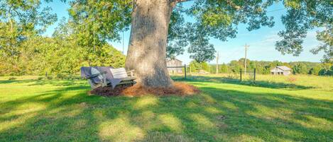 A large tree with a bench under it in a grassy field.