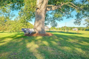 Un árbol grande con un banco debajo en un campo cubierto de hierba.