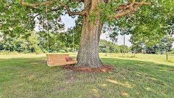 A large tree with a wooden bench under it in a grassy area.