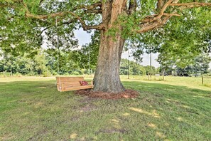 A large tree with a wooden bench under it in a grassy area. - Peaceful Elkin Vacation Rental ~ 17 Mi to Mt Airy! (Elkin)
