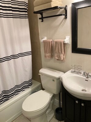 Shower, hair dryer, towels, soap - 8 minutes to World Equestrian Center! Pet-friendly home that sleeps 8. (Ocala)
