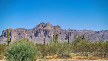 Apartment (1 Bedroom) | Interior