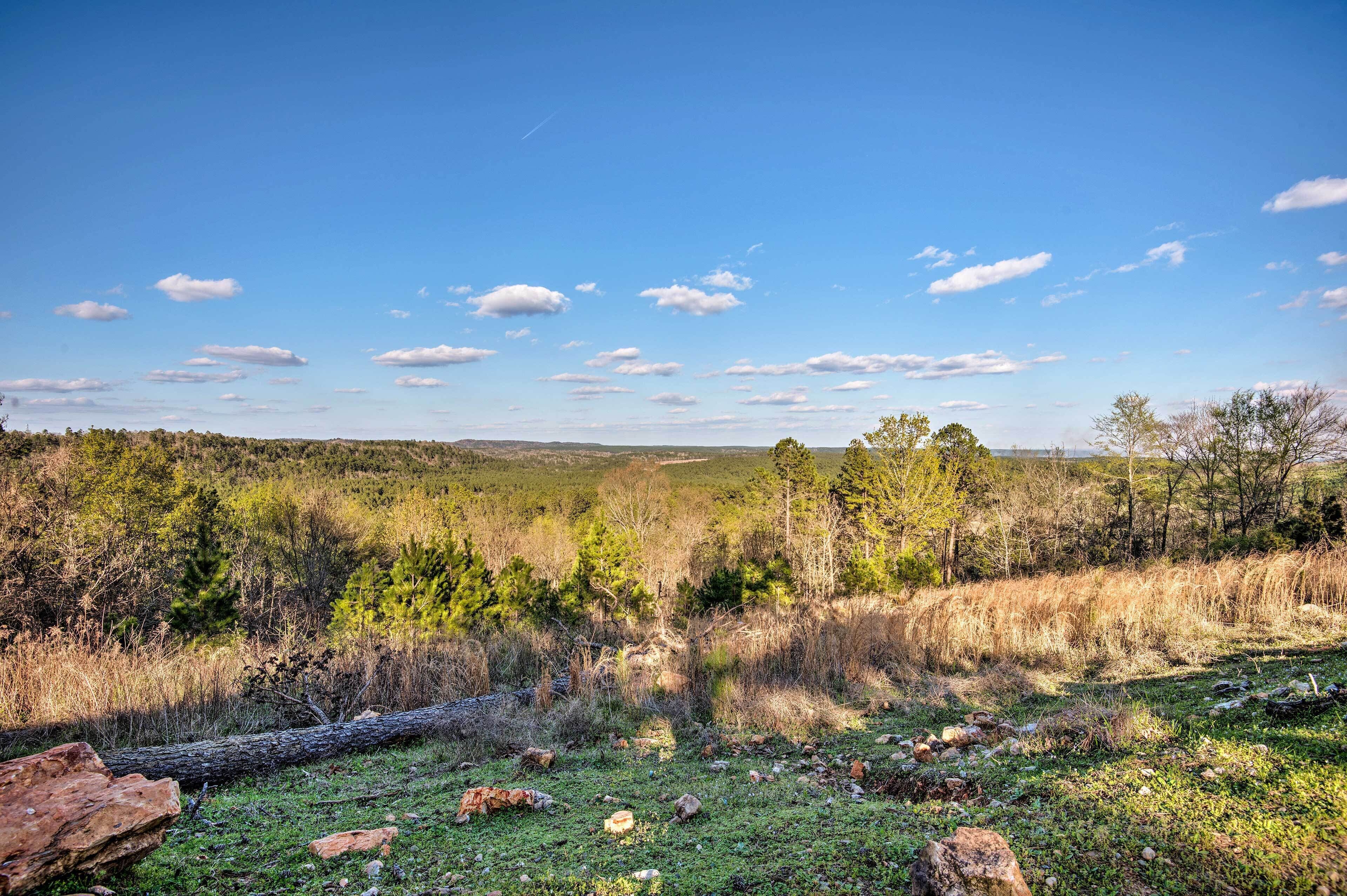 A natural landscape with a clear sky, trees, and a grassy area with rocks.
