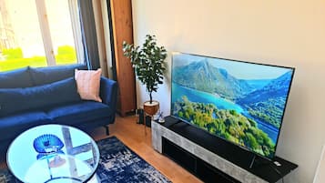 Televisio