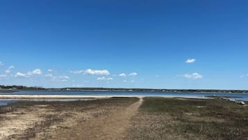 Plage à proximité, chaises longues, serviettes de plage