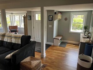 Smart TV, fireplace, books