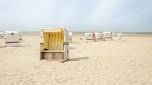 Des chaises de plage sont alignées sur une plage de sable, avec l’océan en arrière-plan.