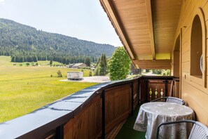 Outdoor dining - Apartment "Enzian 2" with Mountain View, Balcony & Wi-Fi (Leutasch)