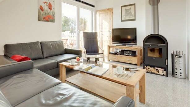 A modern living room with a sofa, coffee table, TV, fireplace, and a view of the outdoors. - Holiday Home "Haus Münster Apartment 2" with Sea View, Private Garden and Wi-Fi (Wohlenberg)