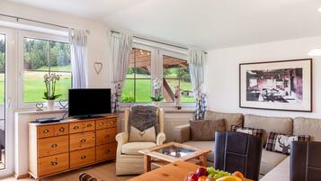 Fernseher, DVD-Player