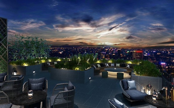 2 bars/lounges, rooftop bar