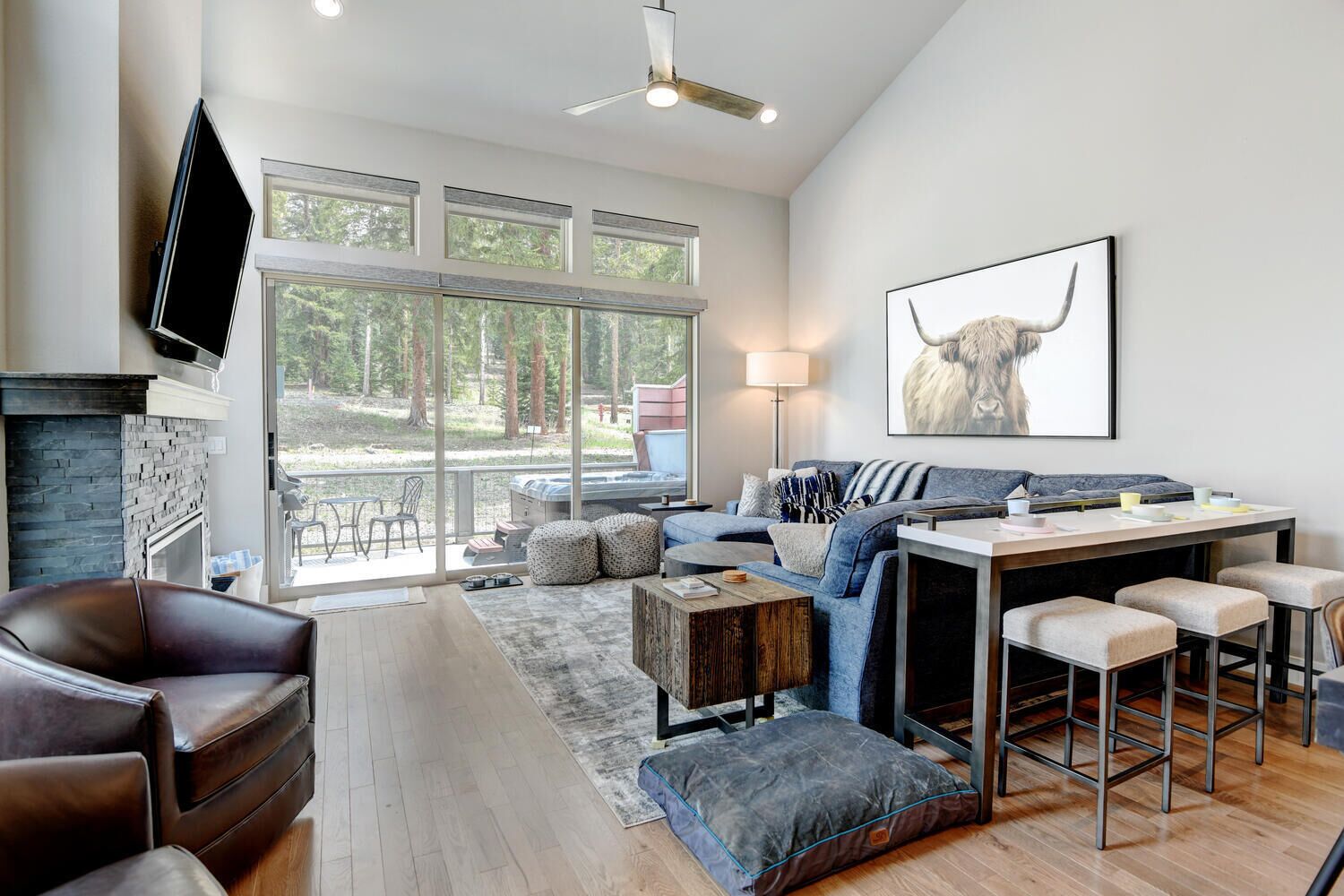 Smart TV, fireplace, books, video library