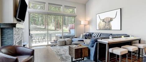 Smart TV, fireplace, books, video library