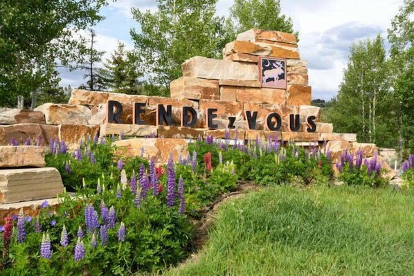 Parco della struttura