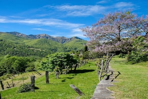 A mountainous landscape with a stone pathway, trees, and a clear sky. - Serenata Room 4  - Cavigliano, Cavigliano, Centovalli, Switzerland (Cavigliano, Centovalli)