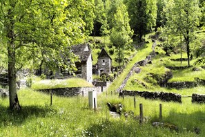 Property grounds - Serenata 1, Cavigliano, Centovalli, Switzerland (Cavigliano, Centovalli)