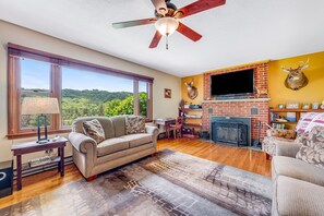 TV, fireplace, books