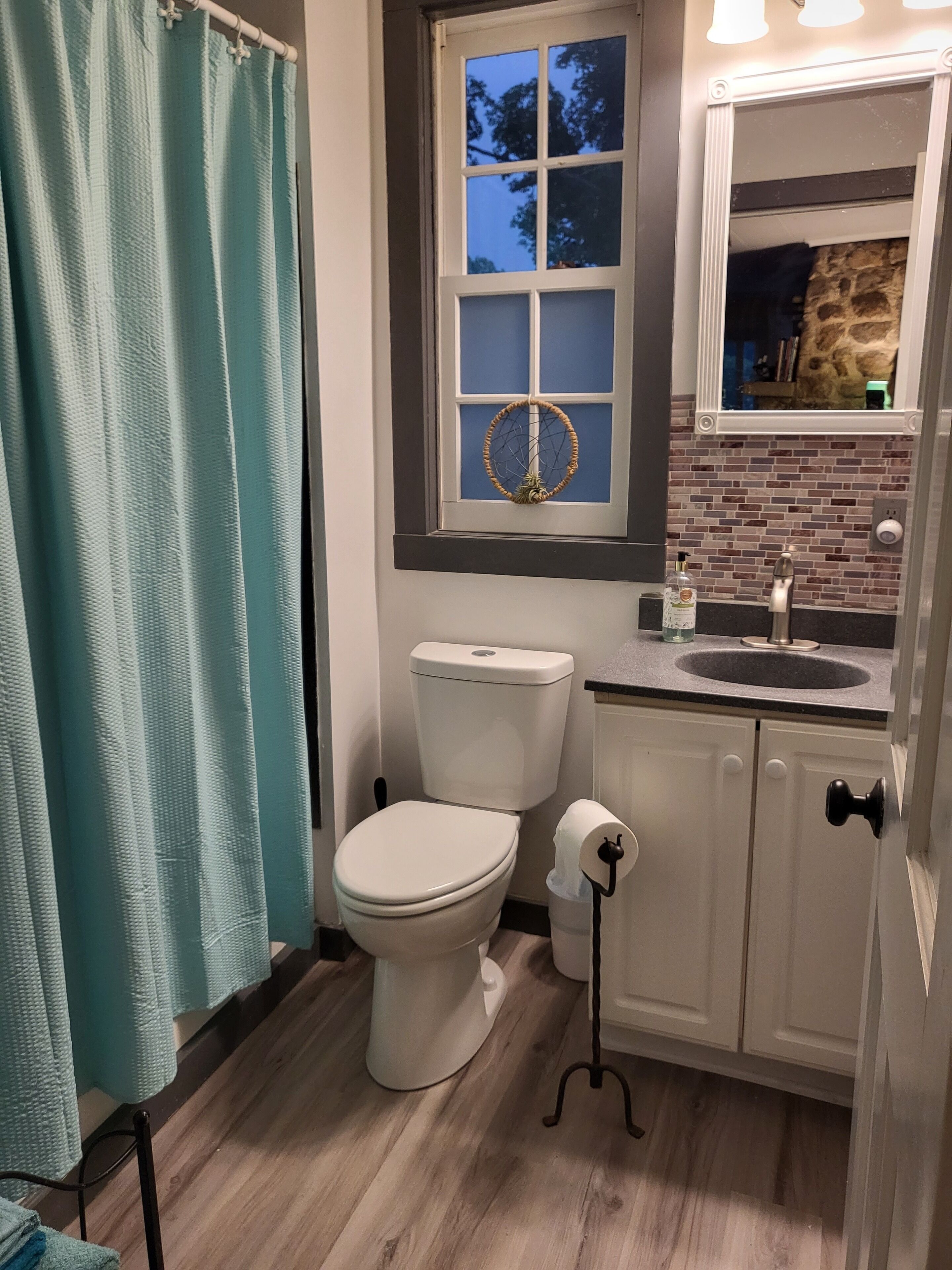 Hair dryer, towels, toilet paper