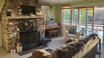 Smart TV, fireplace, books
