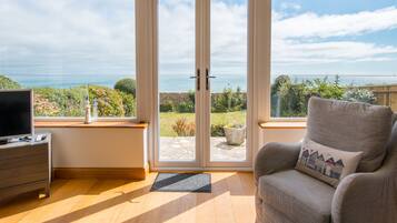 Smart TV, DVD player